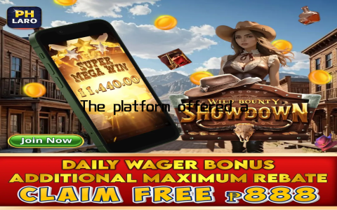 The platform offered a range of tools and resources that were designed to make my life easier